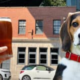 Dog-friendly pubs in Newcastle